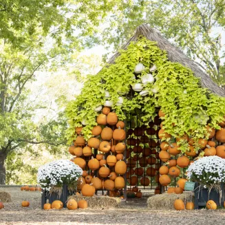 Pumpkin House on display at Cheekwood Estate and Gardens during Cheekwood Harvest