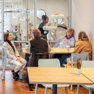 Crossroads Cat Cafe has a large viewing window where you can watch our playful cats while enjoying coffee, ice cream, and light meals. It's the perfect place to meet with friends and business associates or to find a quiet spot to work or study.