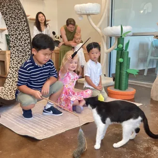 You can make a reservation to play with our adorable, adoptable cats.