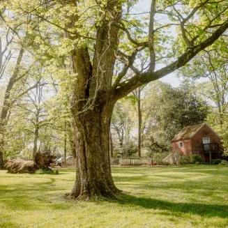 Belle Meade Features plenty of grounds to explore!