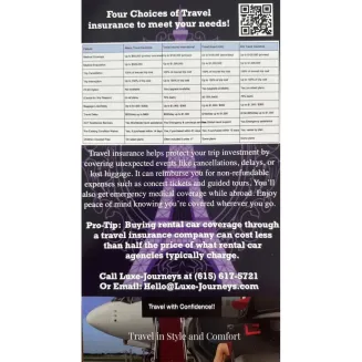 4 Choices of Travel Insurance Flyer Front...
