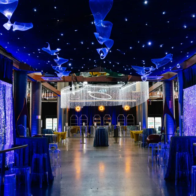 New Year's Eve Gold Circle Party Entrance