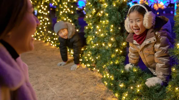 Christmas at Gaylord Opryland