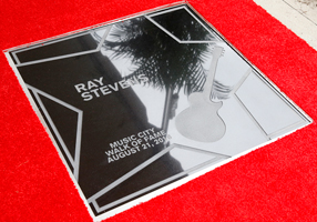 Ray Stevens Star